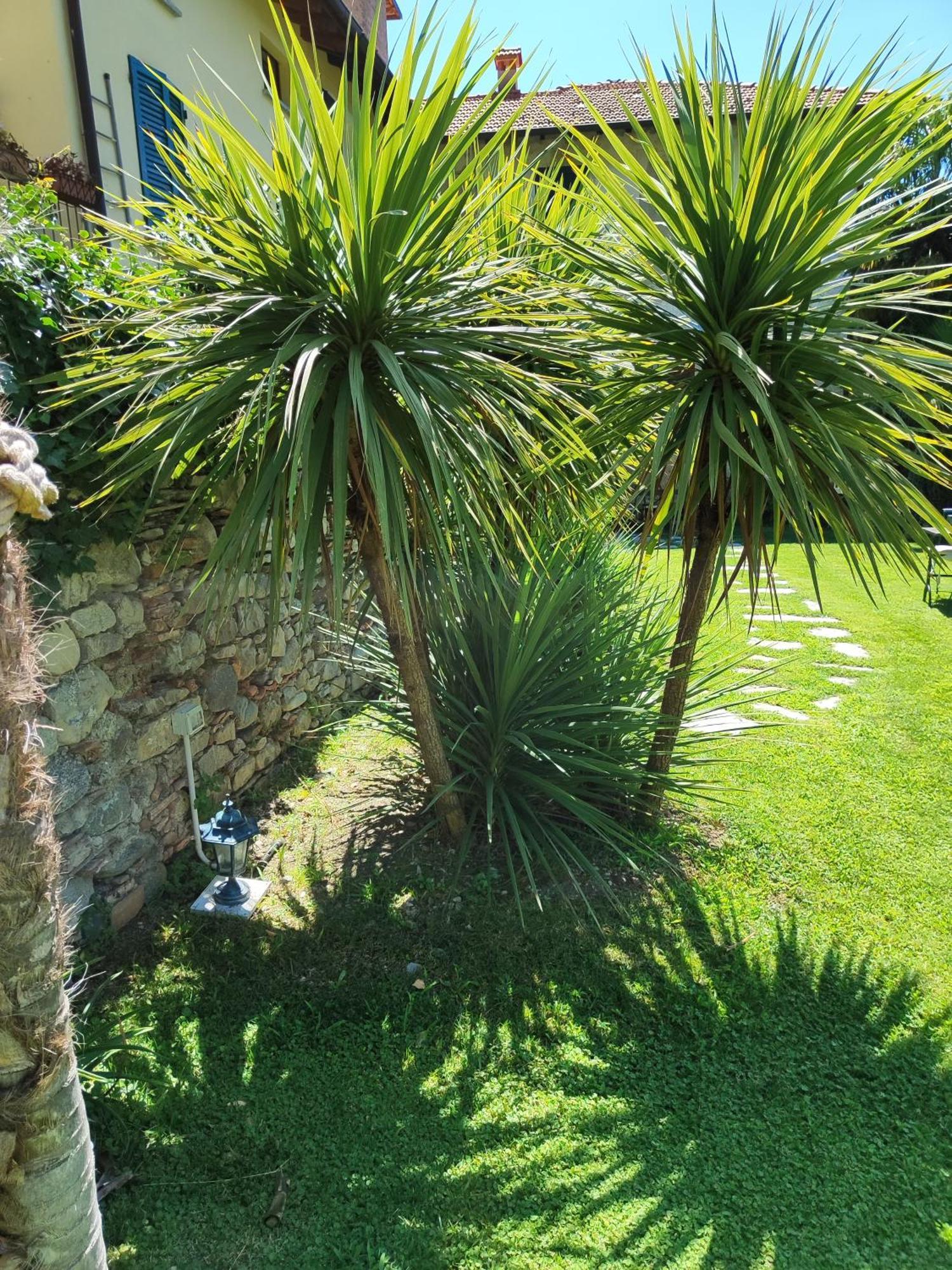 Bed and Breakfast Casa Lumaca Tremezzo Zewnętrze zdjęcie